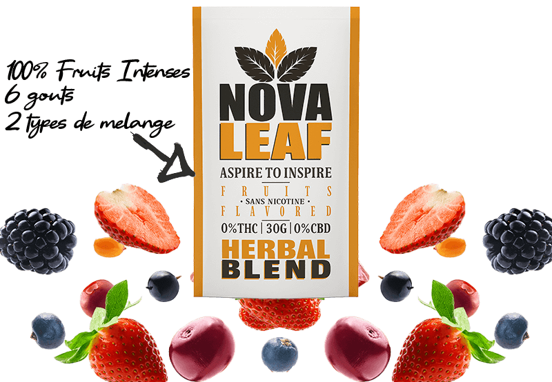 Fruity NovaLeaf — Menthe, Melon Ice, Double Pomme Ice, Double Raisin, Fruits de la Passion, Fraise Kiwi