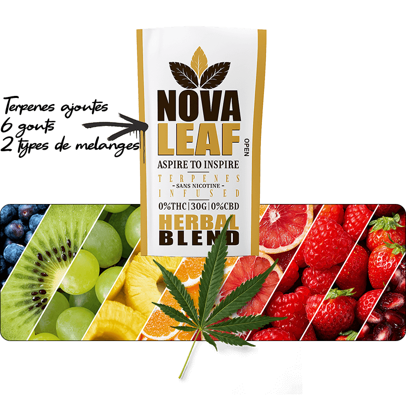Terpenes NOVALEAF — Lemon Haze, Pink Lush, Sour Diesel